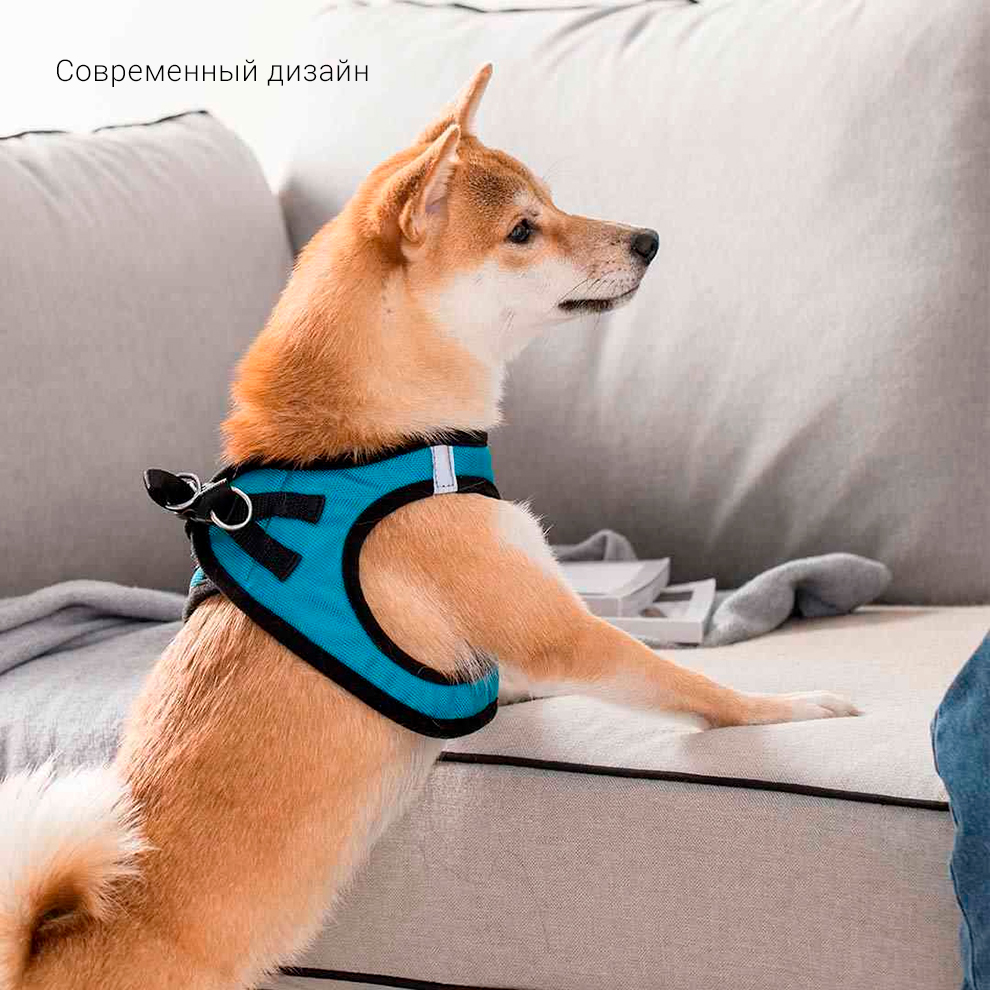 Нательный ошейник для собак Xiaomi Jordan Judy PE073